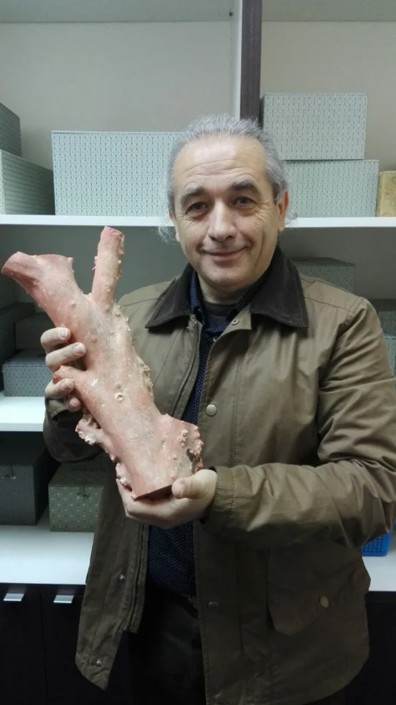 12. MOMO CORAL BRANCH IN TAIWAN